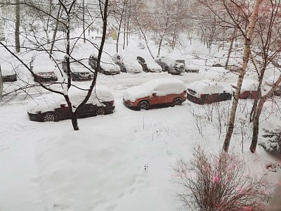 Вот такая картина за окном предвидится ближайшие три месяца.